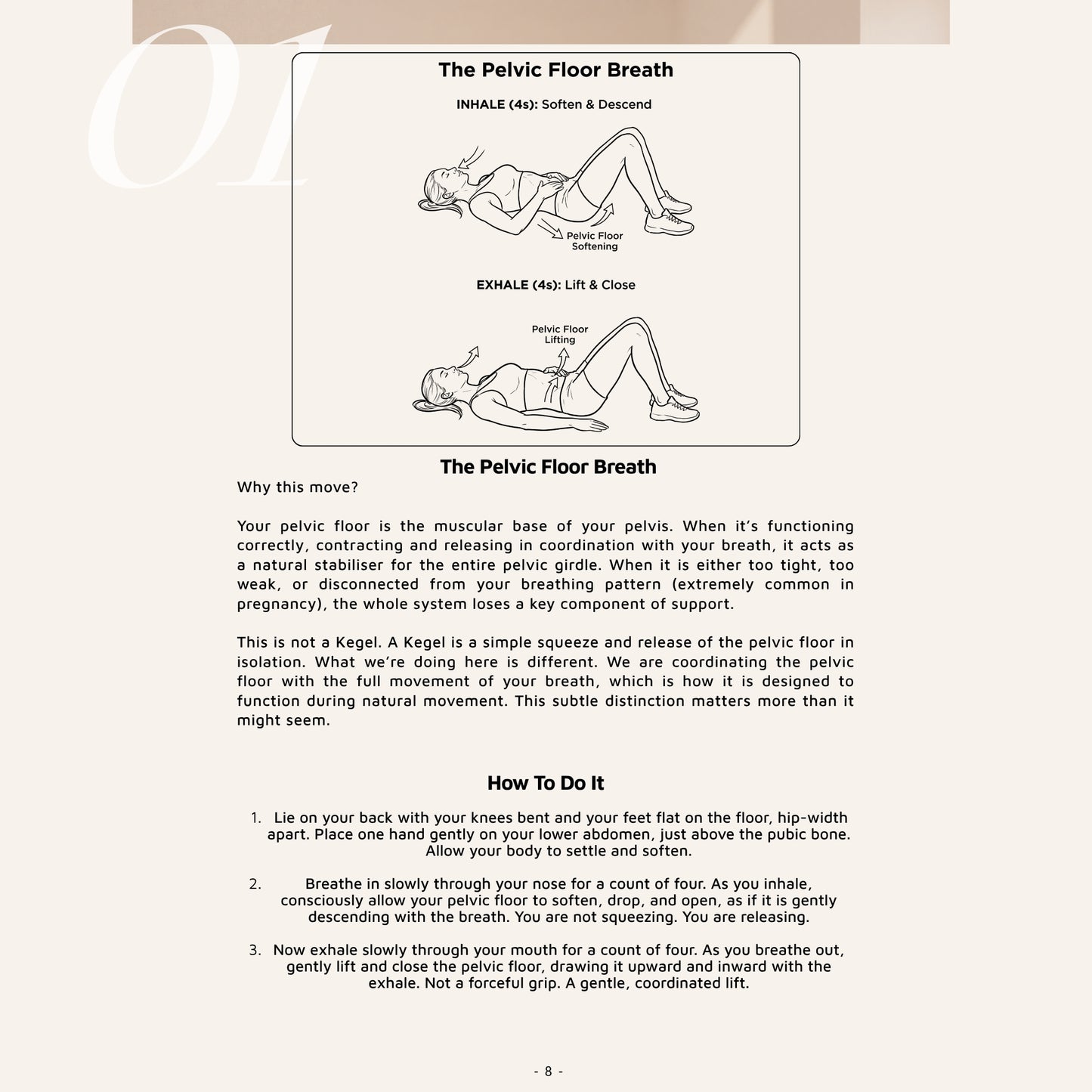 BumpRelief - The Pregnancy Relief Protocol