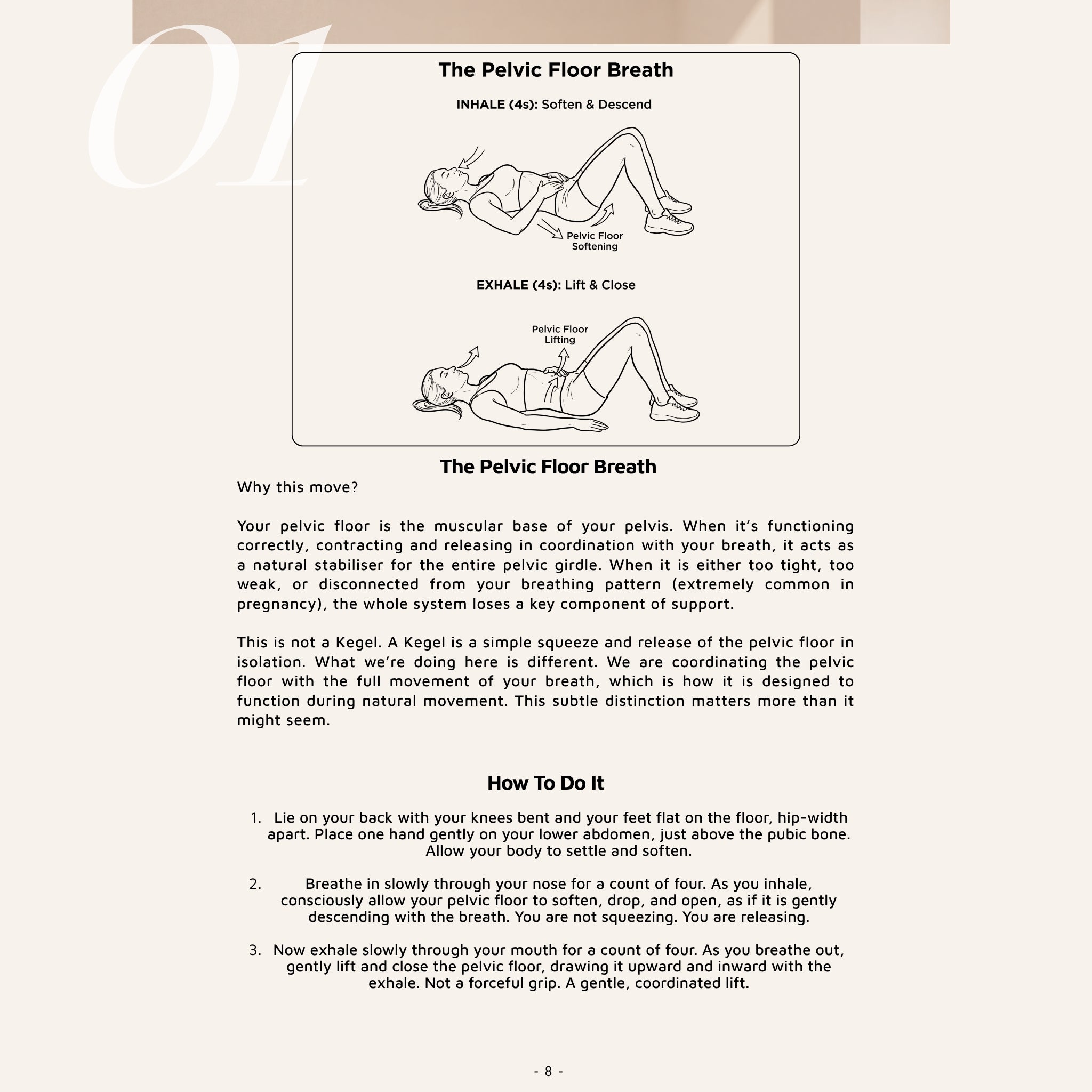 BumpRelief - The Pregnancy Relief Protocol