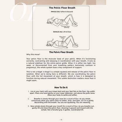 BumpRelief - The Pregnancy Relief Protocol